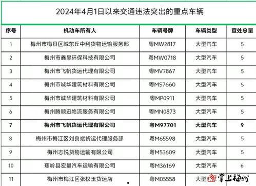 最新梅州交通信息爆料,最新爆料揭示交通网络升级与优化计划
